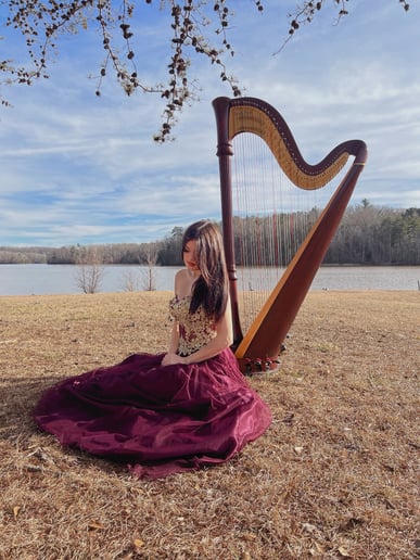 Gallery photo 9 of The Enchanted Harpist