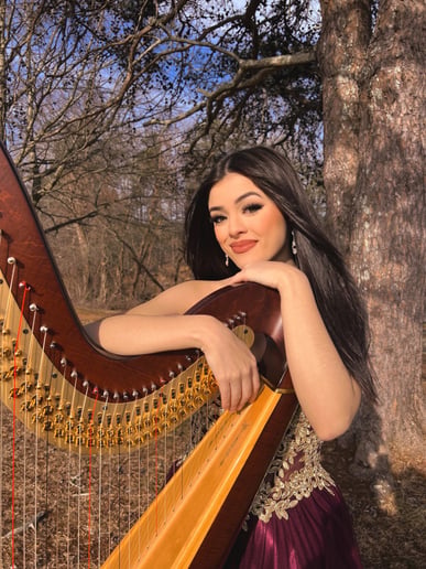 Gallery photo 10 of The Enchanted Harpist