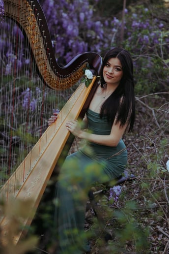 Gallery photo 4 of The Enchanted Harpist