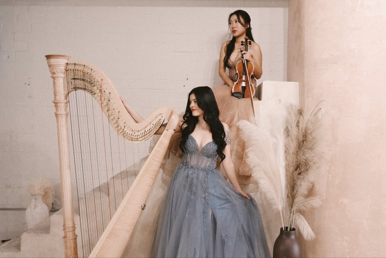 Gallery photo 2 of The Enchanted Harpist
