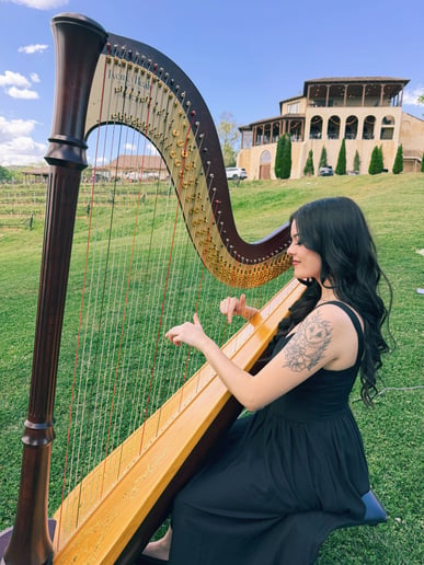Gallery photo 6 of The Enchanted Harpist