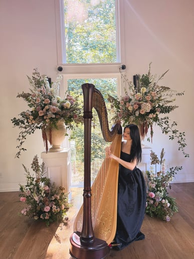 Gallery photo 7 of The Enchanted Harpist