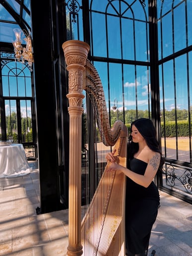 Gallery photo 9 of The Enchanted Harpist
