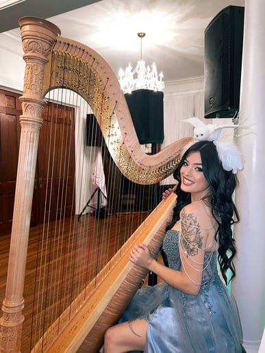 Gallery photo 10 of The Enchanted Harpist