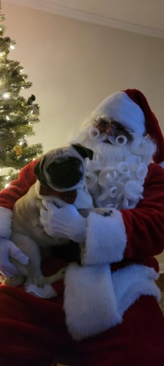 Gallery photo 6 of The Eternal Santa