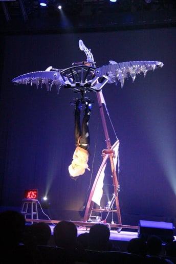 Gallery photo 4 of The Extreme Magic Of Eric Wilzig