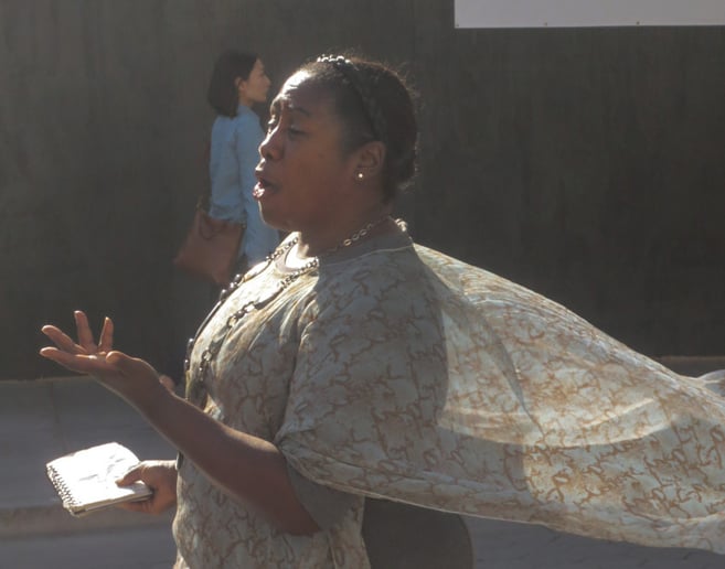 Gallery photo 4 of The Feral Diva - Soprano, Meloni Mathius