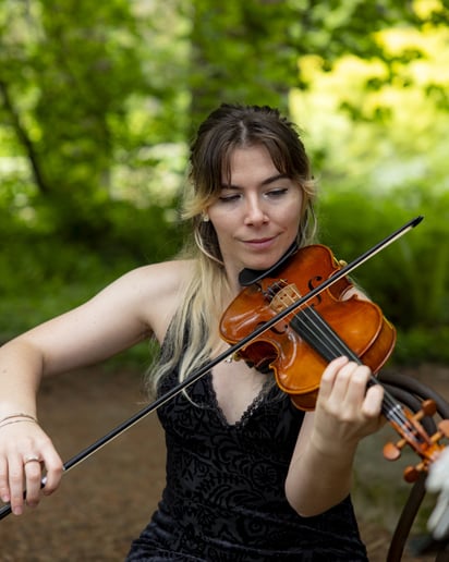 Gallery photo 1 of The Fiddle Fairy