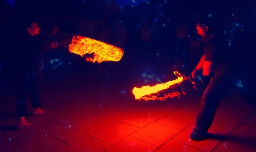 Gallery photo 2 of The Fiery Aardvark