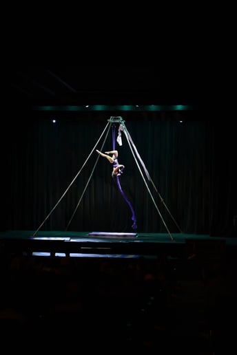 Gallery photo 17 of Wandering Lantern Productions