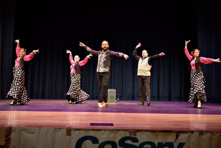 Gallery photo 6 of The Flamenco Passion Dance Company