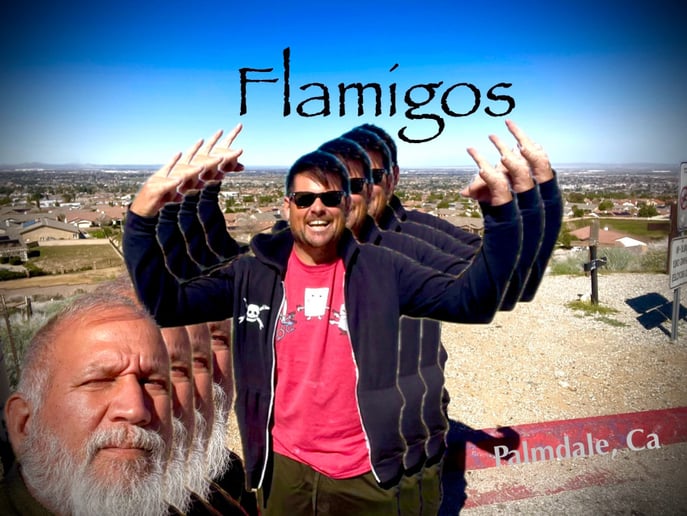 Gallery photo 1 of The Flamigos