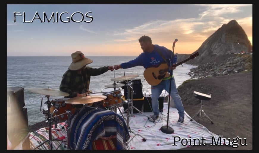 Gallery photo 2 of The Flamigos
