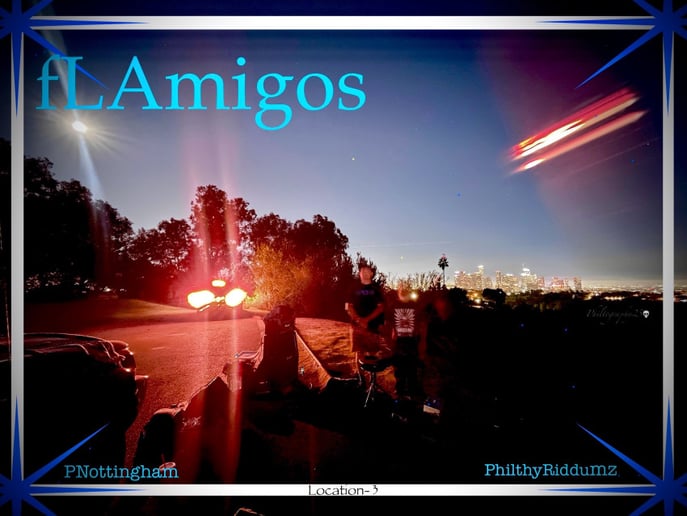 Gallery photo 4 of The Flamigos