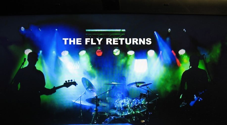 Gallery photo 2 of The Fly Returns