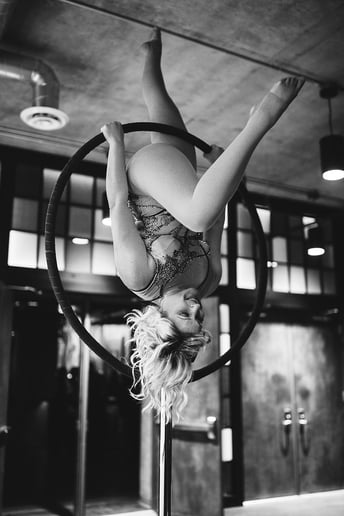 Gallery photo 6 of Aerial Curiosities