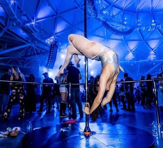 Gallery photo 4 of Aerial Curiosities