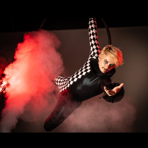 Gallery photo 6 of The Flying Onyx