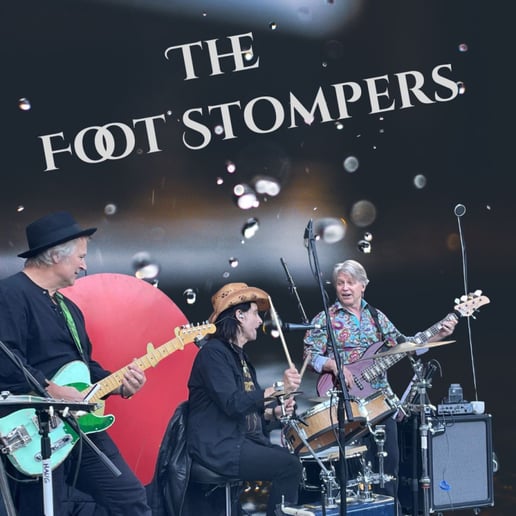 Gallery photo 4 of The Foot Stompers