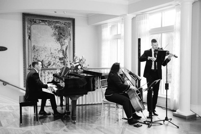 Gallery photo 1 of The Fox Music