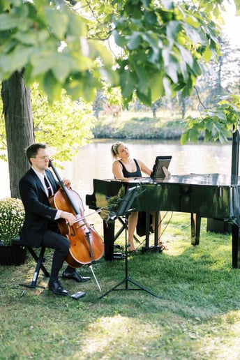 Gallery photo 7 of The Fox Music