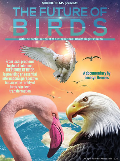Gallery photo 1 of The Future of Birds: Film + Speaker