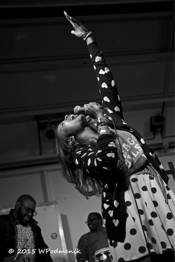 Gallery photo 5 of The Fuzz Band