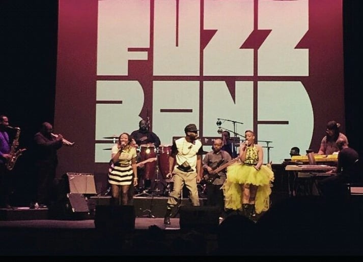 Gallery photo 9 of The Fuzz Band