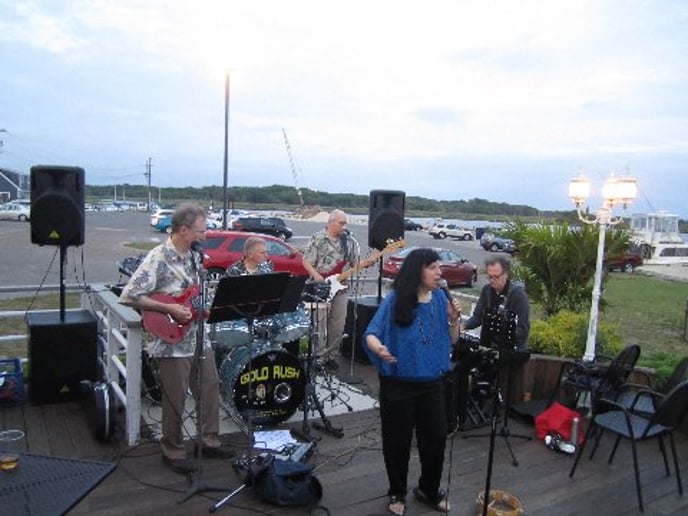 Gallery photo 2 of The Gold Rush Band