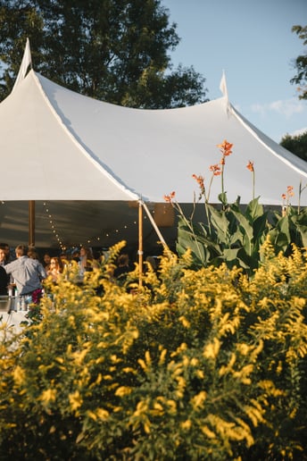 Gallery photo 27 of Morgan Treni & The Golden Estate House Band