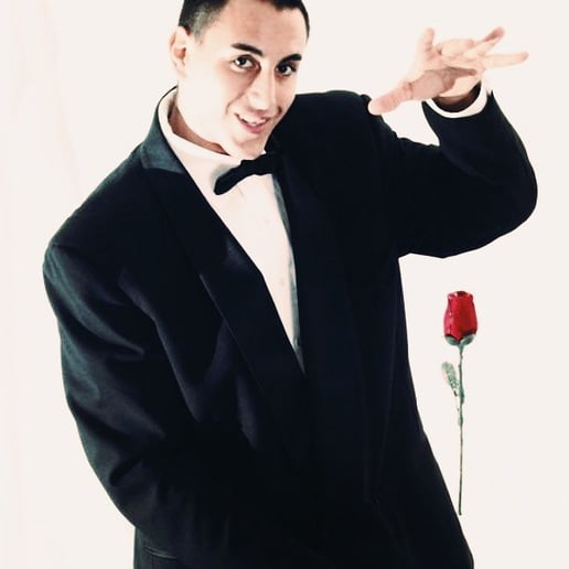 Gallery photo 2 of The Great Magic of Rafael