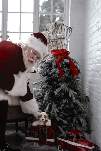 Gallery photo 1 of The Great Smoky Mountain Santa