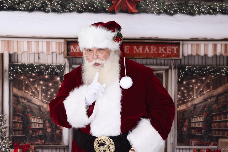 Gallery photo 11 of The Great Smoky Mountain Santa