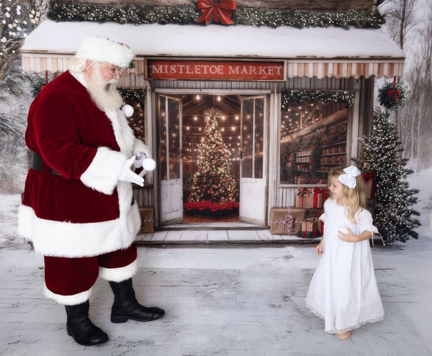 Gallery photo 12 of The Great Smoky Mountain Santa