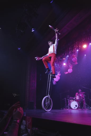 Gallery photo 9 of Harlequin: Juggler & Balance Artist