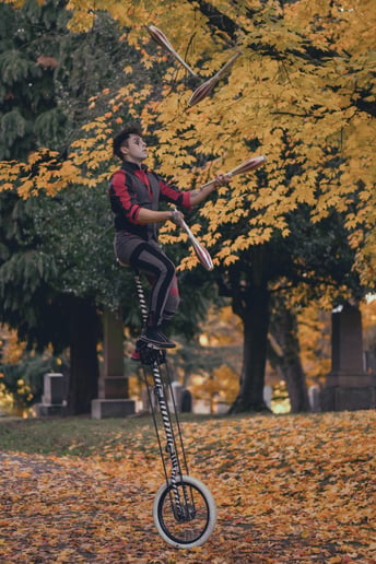 Gallery photo 4 of Harlequin: Juggler & Balance Artist