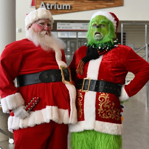Gallery photo 6 of Ben The Grinch