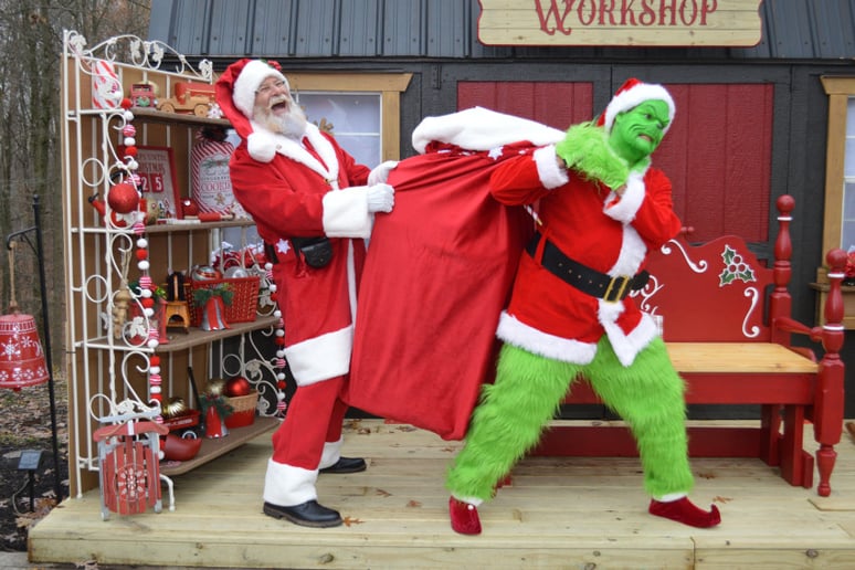 Gallery photo 2 of The Grinch for Hire