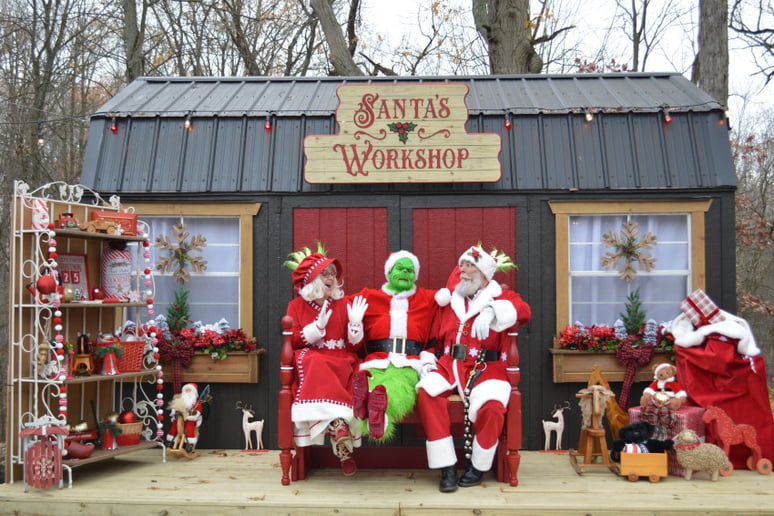 Gallery photo 3 of The Grinch for Hire