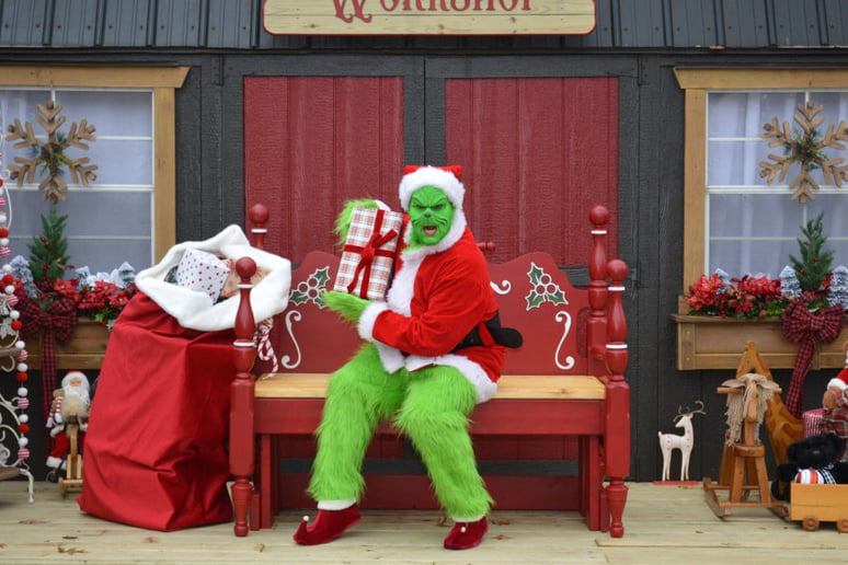 Gallery photo 4 of The Grinch for Hire