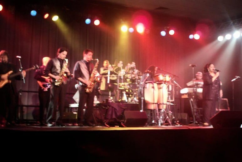 Gallery photo 7 of The Groove Party