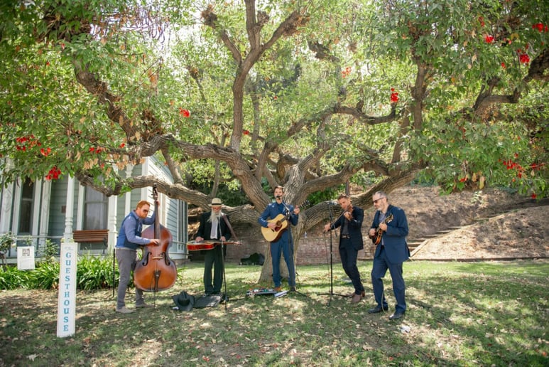 Gallery photo 3 of The Guesthouse Band
