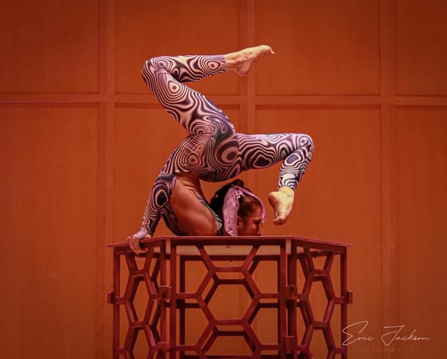 Gallery photo 5 of Hans The Contortionist