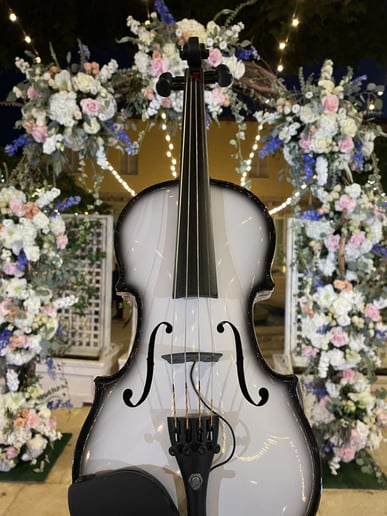 Gallery photo 4 of The Happy Violin