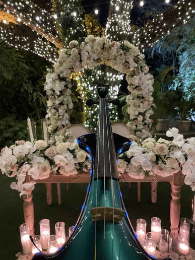 Gallery photo 7 of The Happy Violin