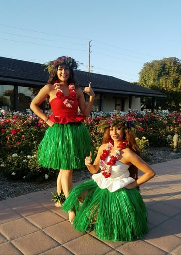 Gallery photo 30 of The Heart of The Islands