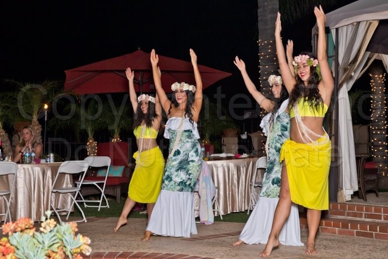 Gallery photo 29 of The Heart of The Islands