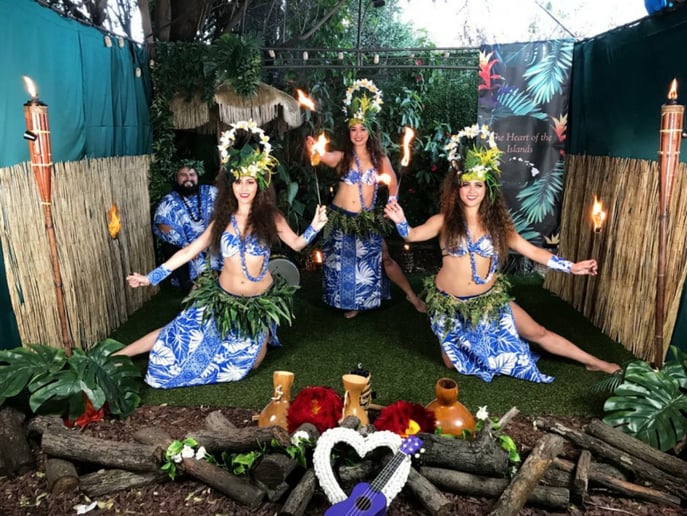 Gallery photo 9 of The Heart of The Islands
