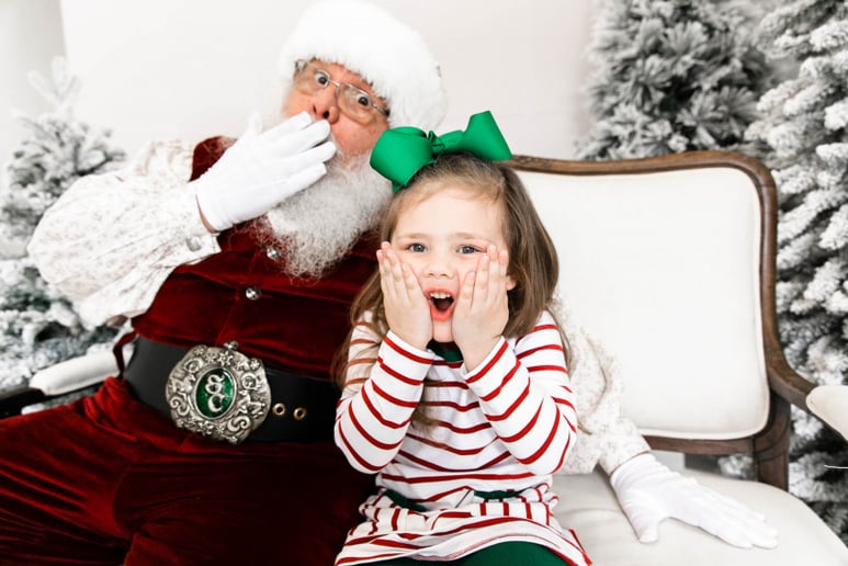 Gallery photo 1 of The Heights Santa
