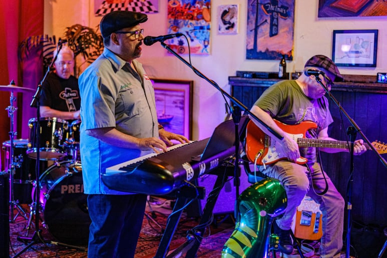 Gallery photo 8 of The Hi-Fi Hillbillies